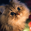 ina